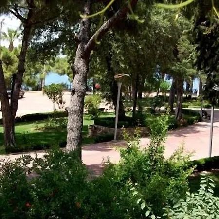 Ξενοδοχείο Pekcan 3*