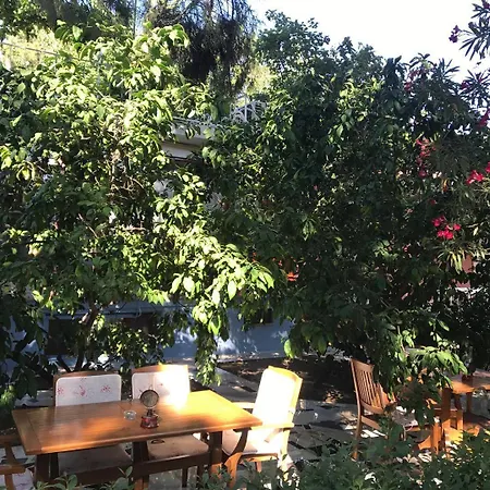 بيكان Ören