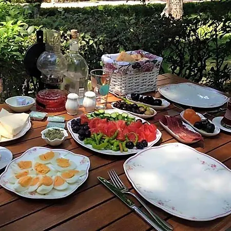 فندق بيكان