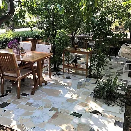 بيكان فندق 3*