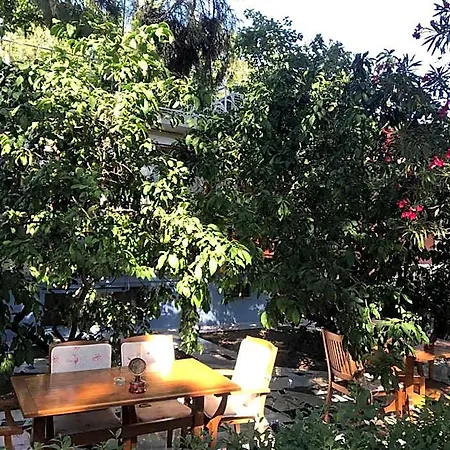 بيكان Ören