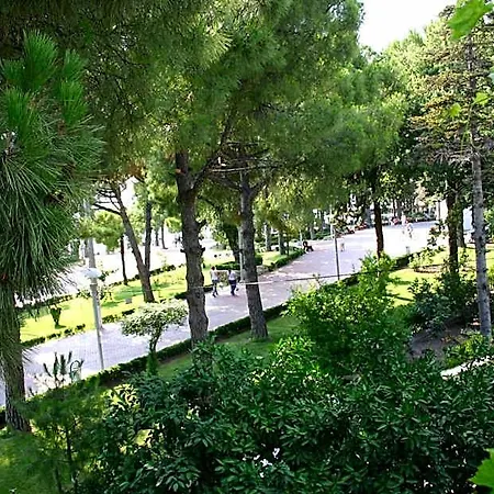 بيكان فندق