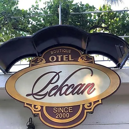 بيكان فندق