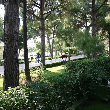 Pekcan