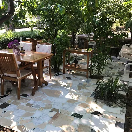 Hotel Pekcan Ören